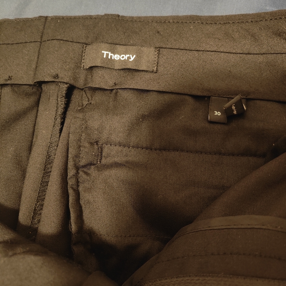 Theory brand male suit pants
